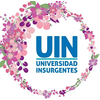 Universidad Insurgentes S.C.