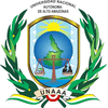 Universidad Nacional Autónoma de Alto Amazonas