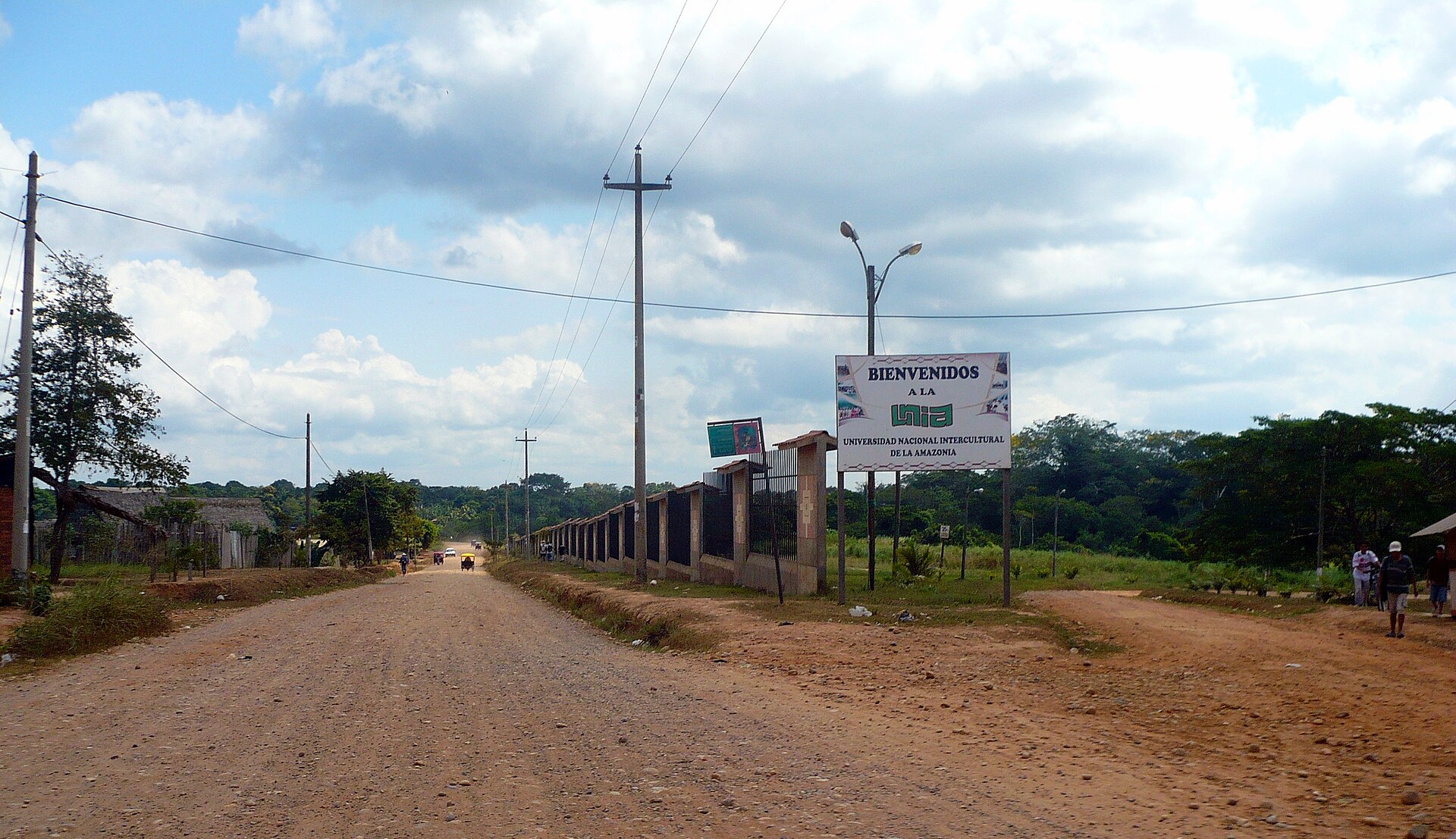 Universidad Nacional Intercultural de la Amazonía