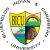 Bluefields Indian and Caribbean University