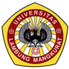 Universitas Lambung Mangkurat