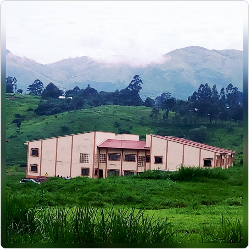 Université de Bamenda
