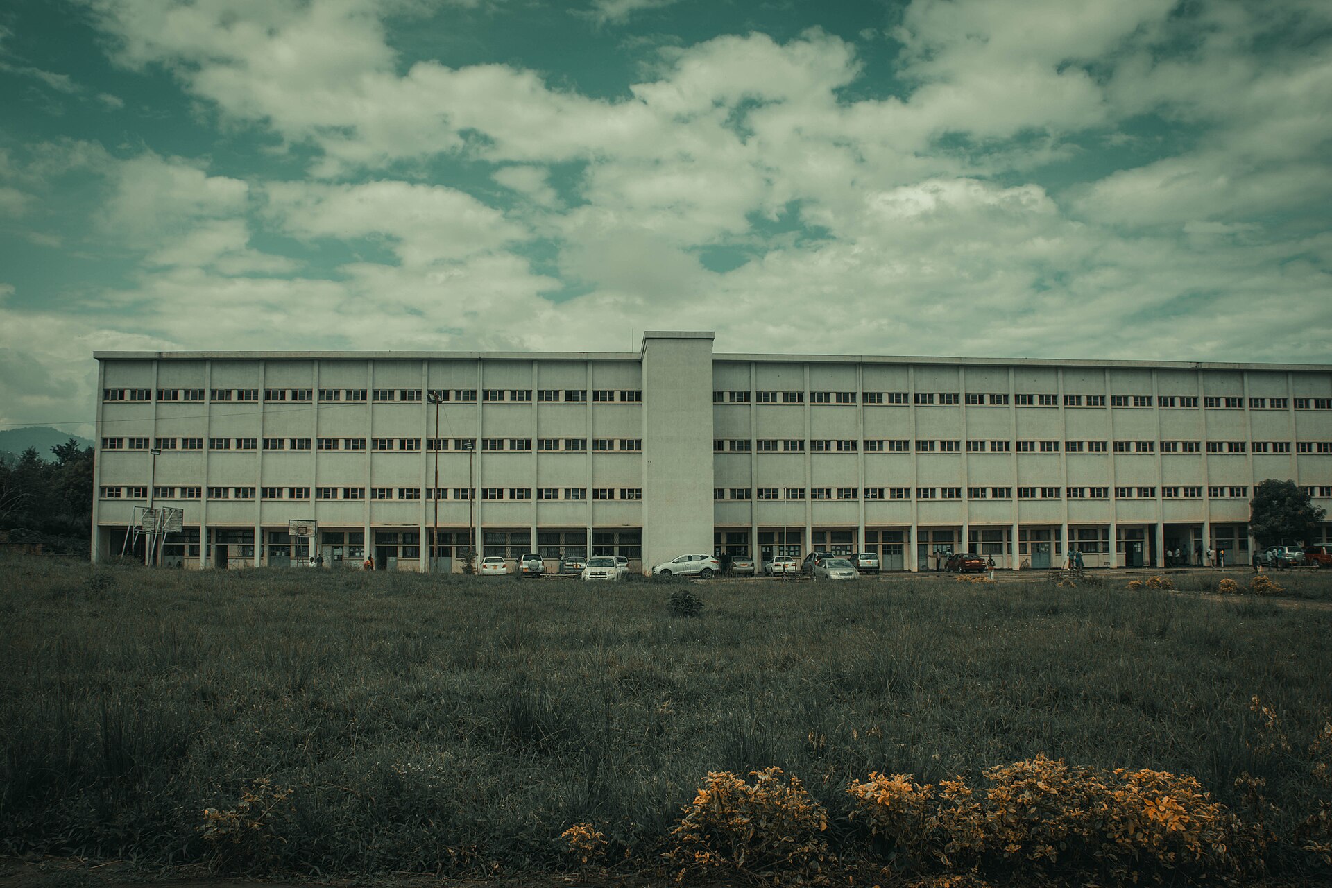 Université du Burundi