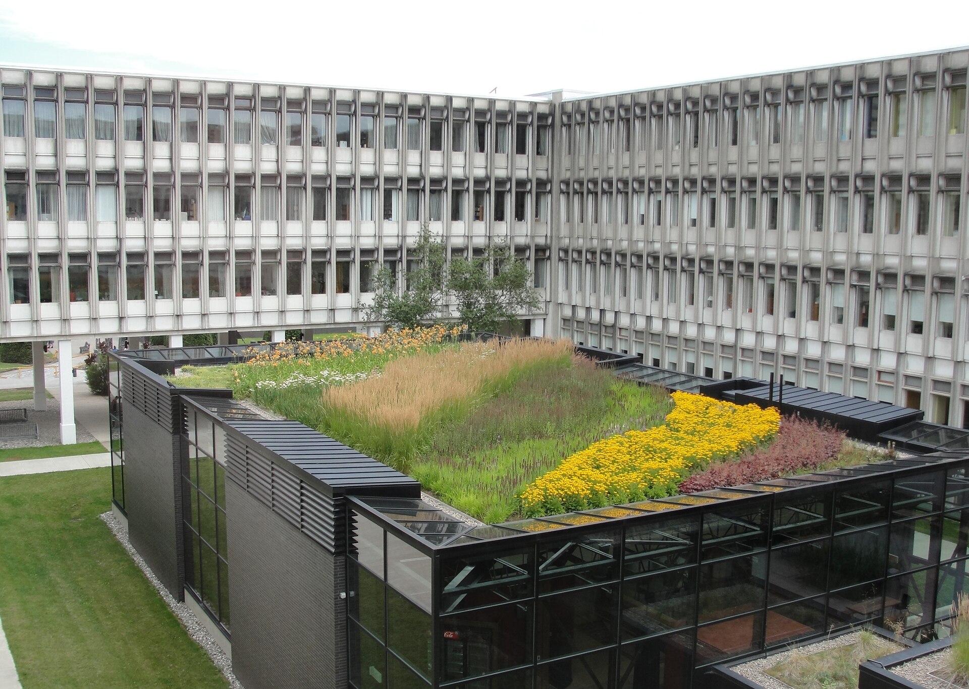 Université Laval