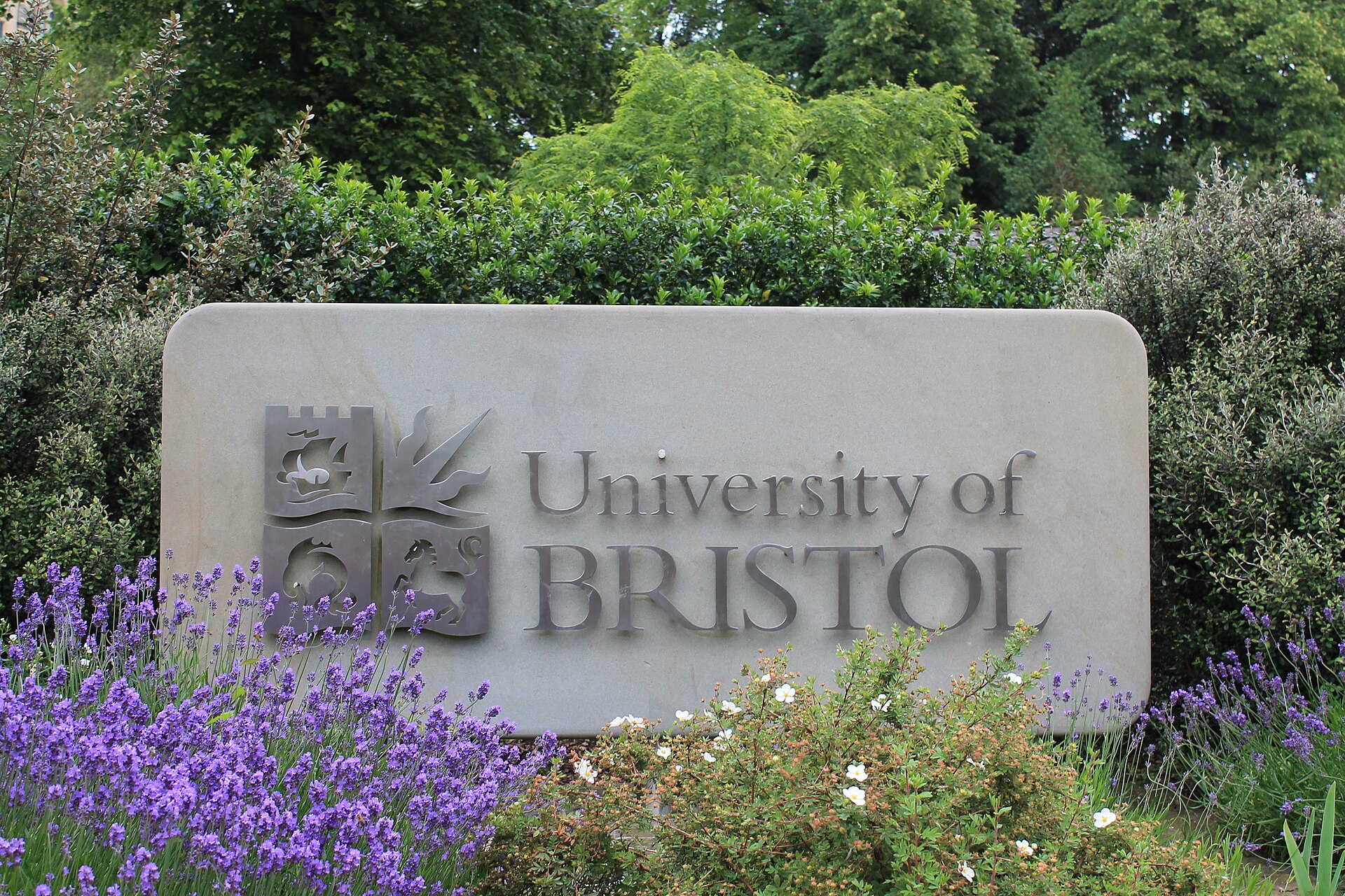 University of Bristol