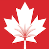 Canadian University of Dubai