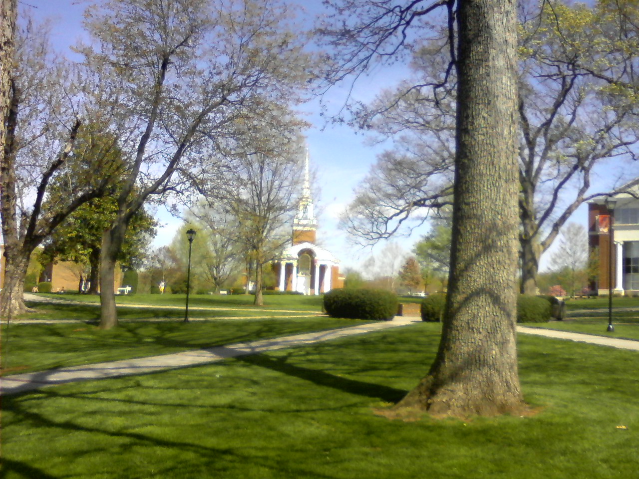 University of Lynchburg
