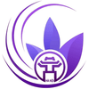 University of Technology &amp; Management