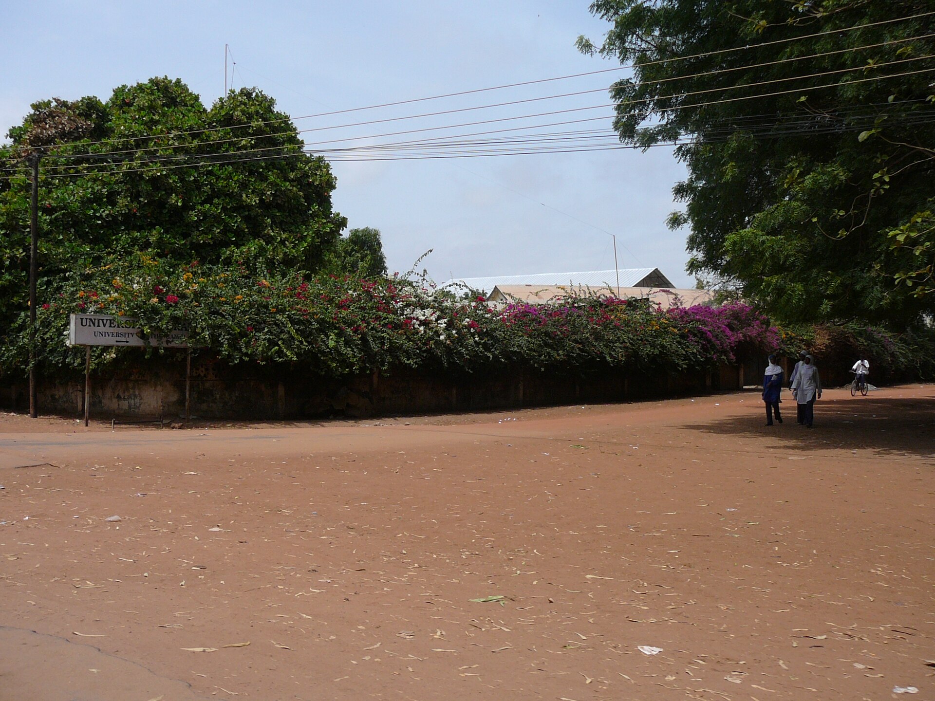 University of the Gambia