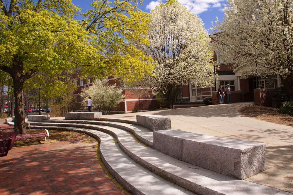 Western New England University