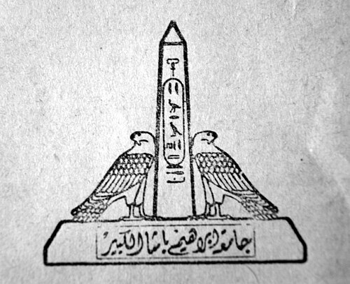 Ain Shams University
