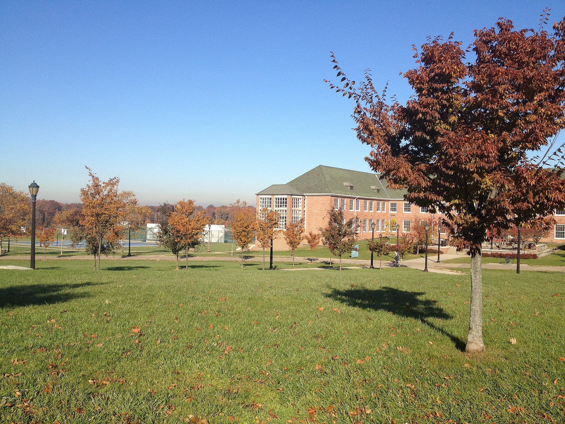 College of Staten Island