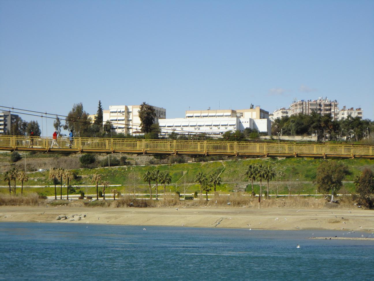 Çukurova Üniversitesi
