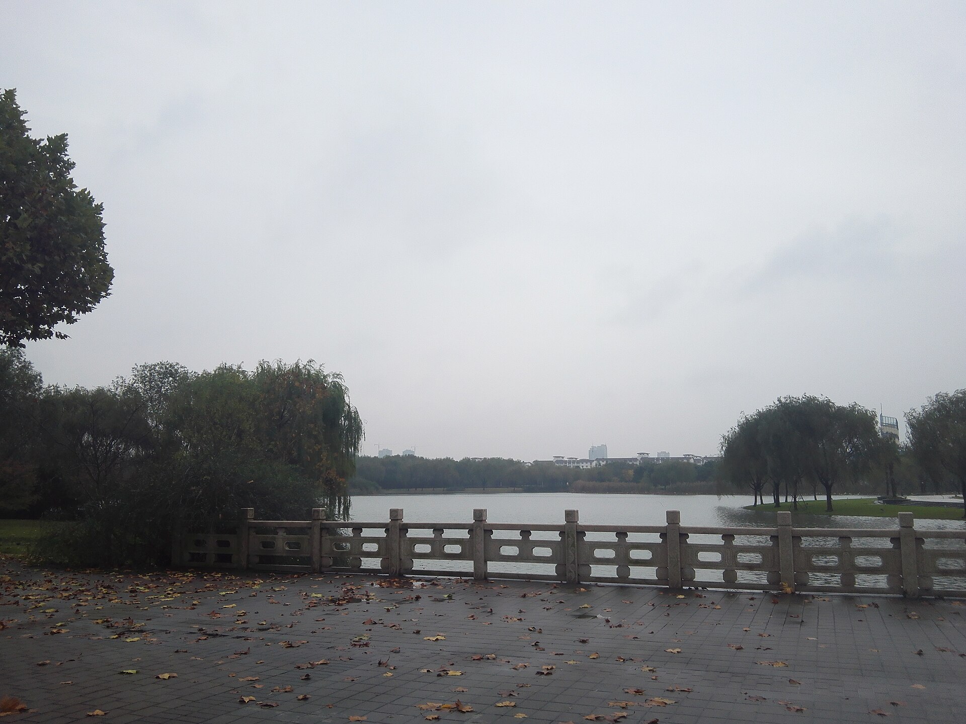 Donghua University