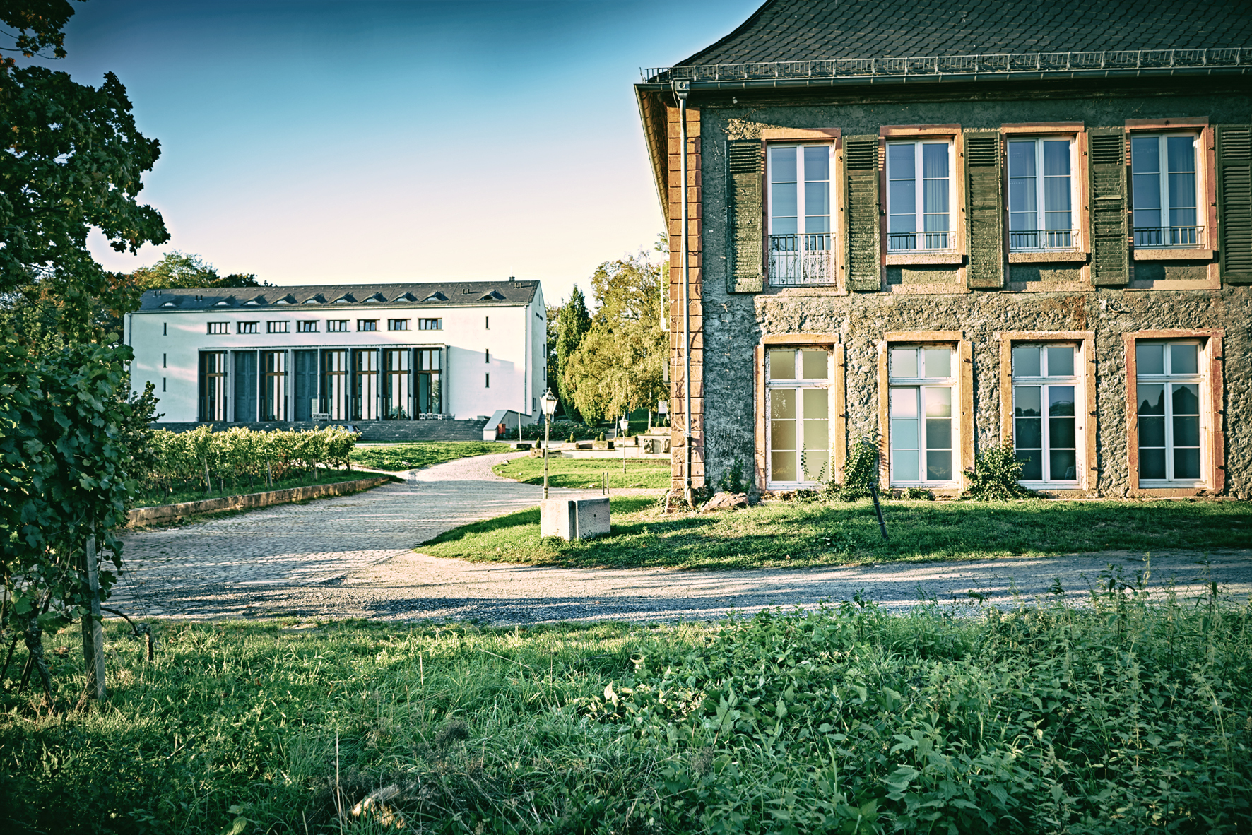 EBS Universität für Wirtschaft und Recht