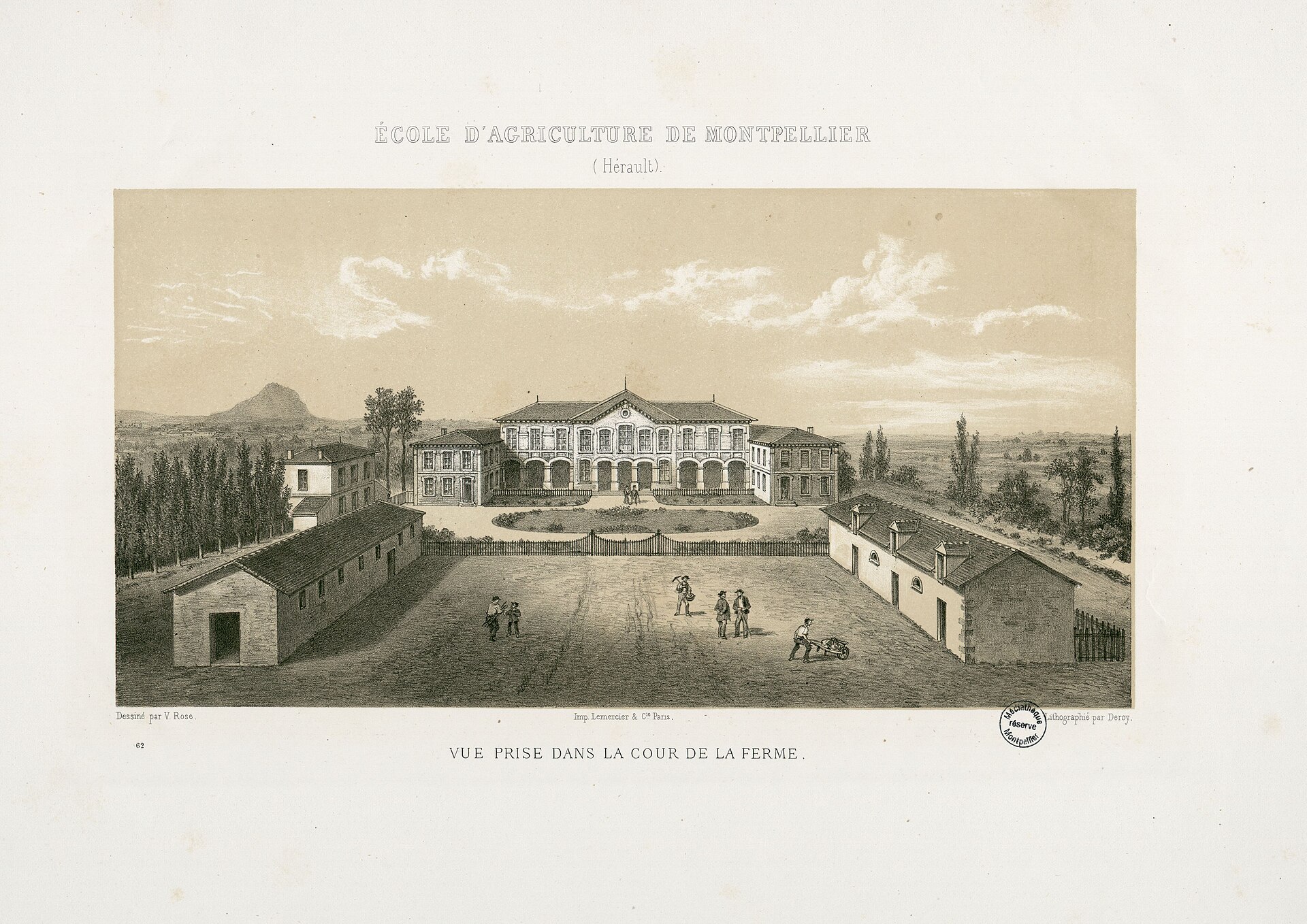 École Nationale Supérieure Agronomique