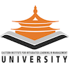 EIILM University