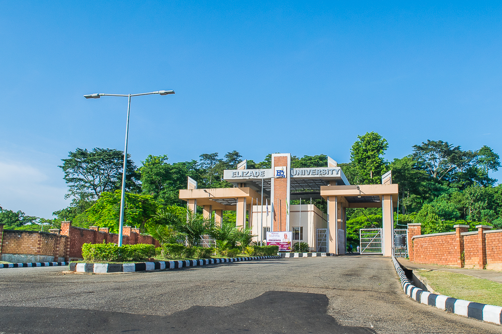 Elizade University