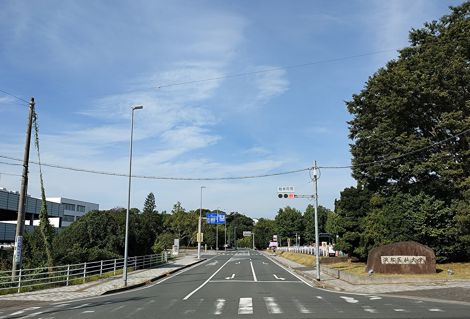 Hamamatsu University School of Medicine