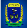 Hinthada University