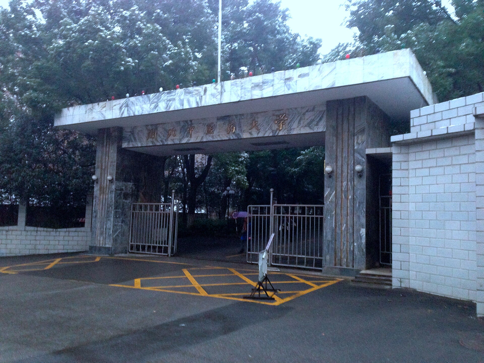 Hubei University of Chinese Medicine