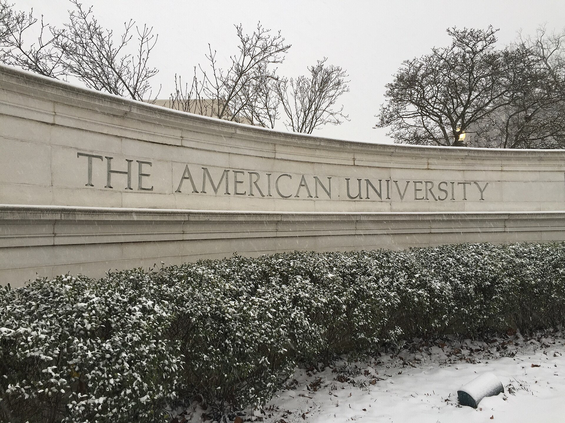 American University