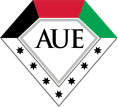 American University in the Emirates