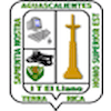 Instituto Tecnológico de El Llano Aguascalientes