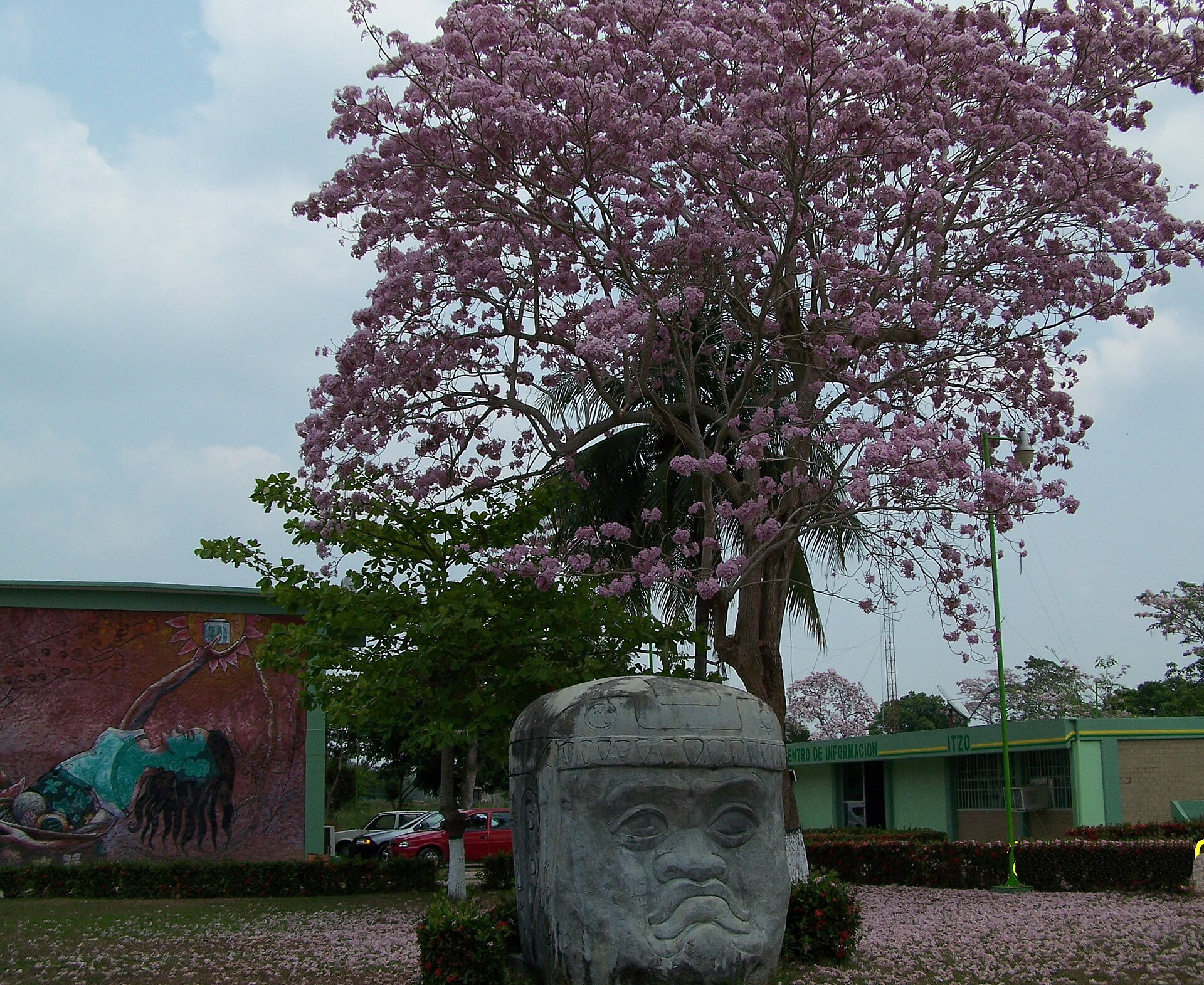 Instituto Tecnológico de La Zona Olmeca