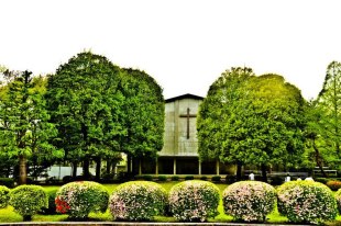 International Christian University
