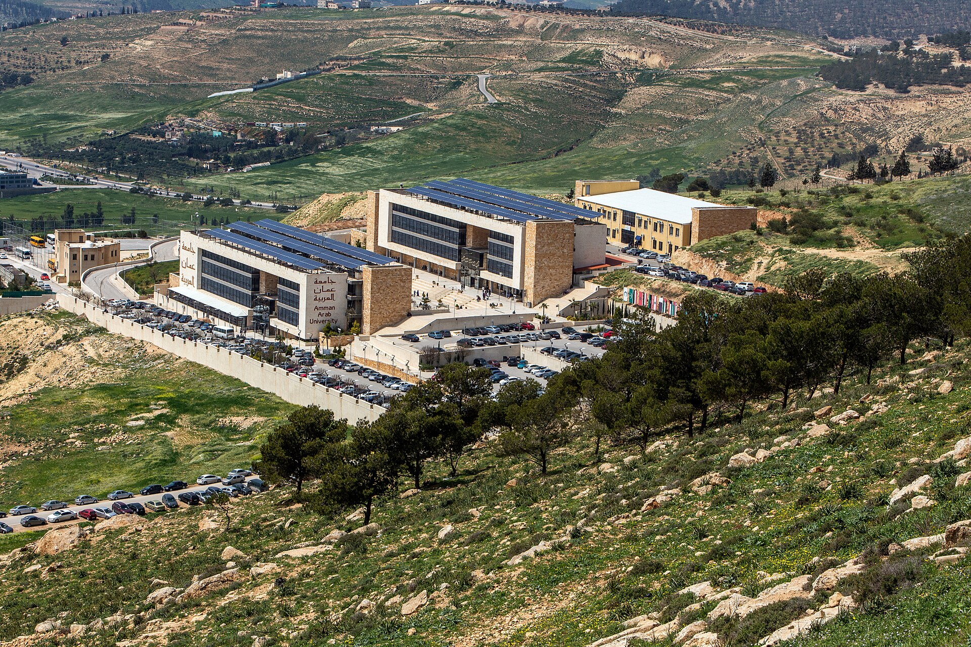 Amman Arab University