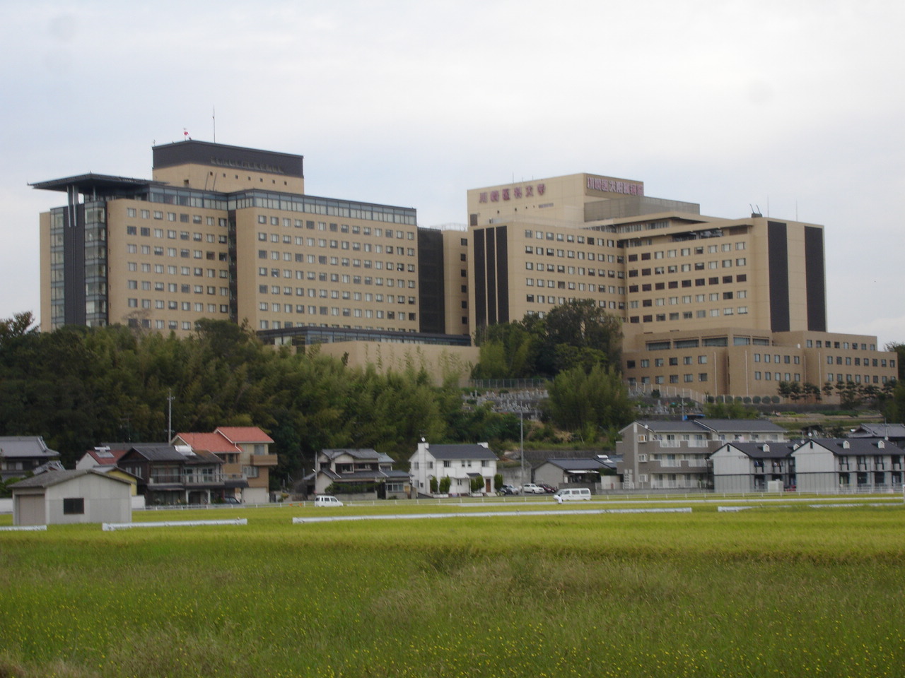 Kawasaki Medical School