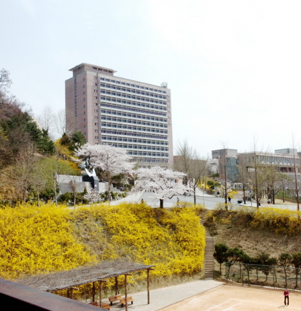 Kookmin University