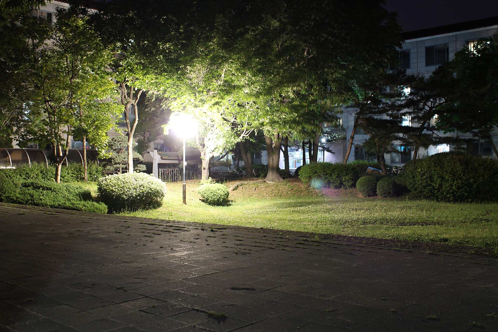 Korea National Sport University