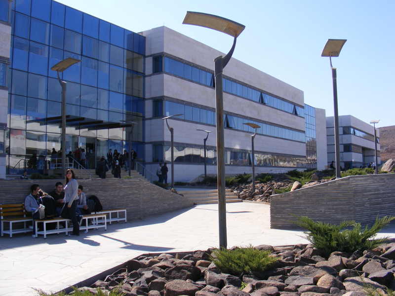 Arab International University