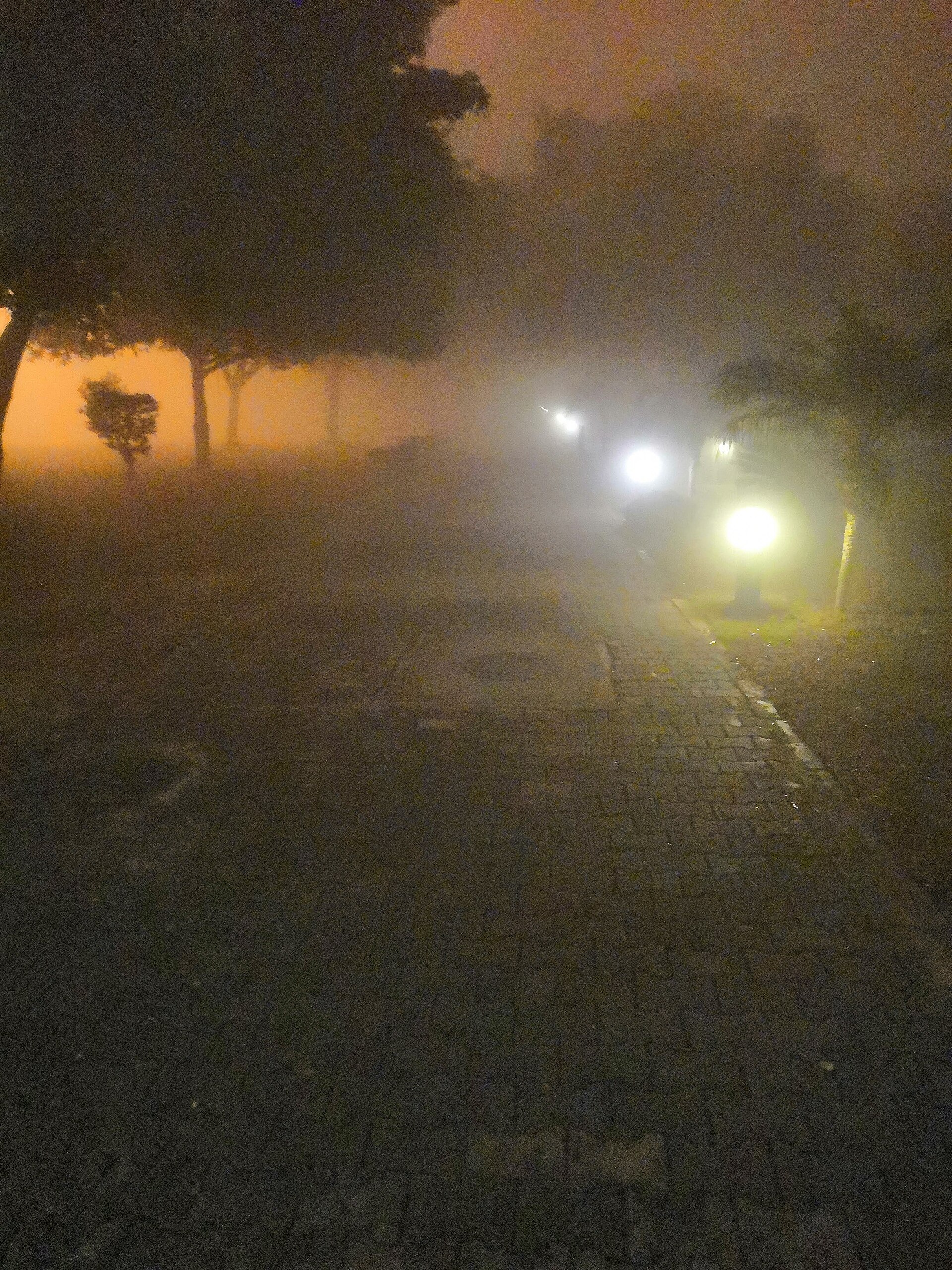 Lahore University of Management Sciences