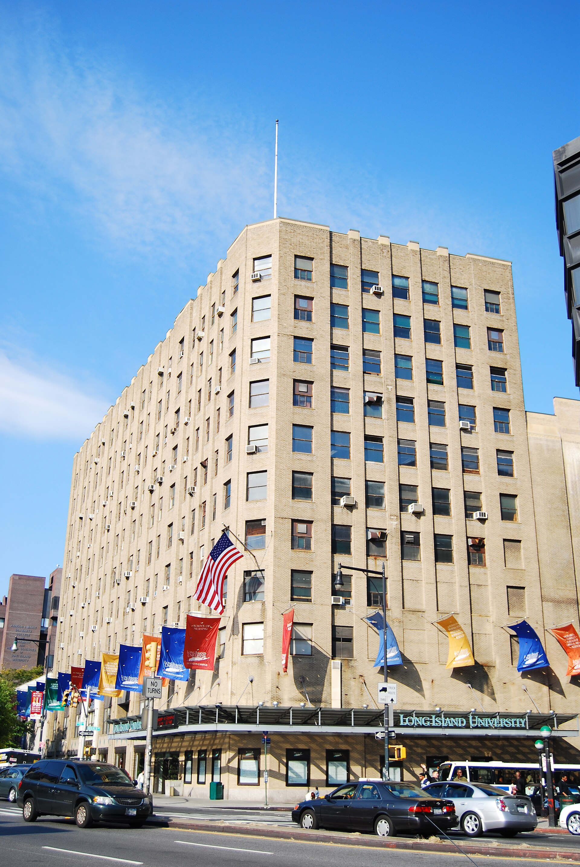Long Island University