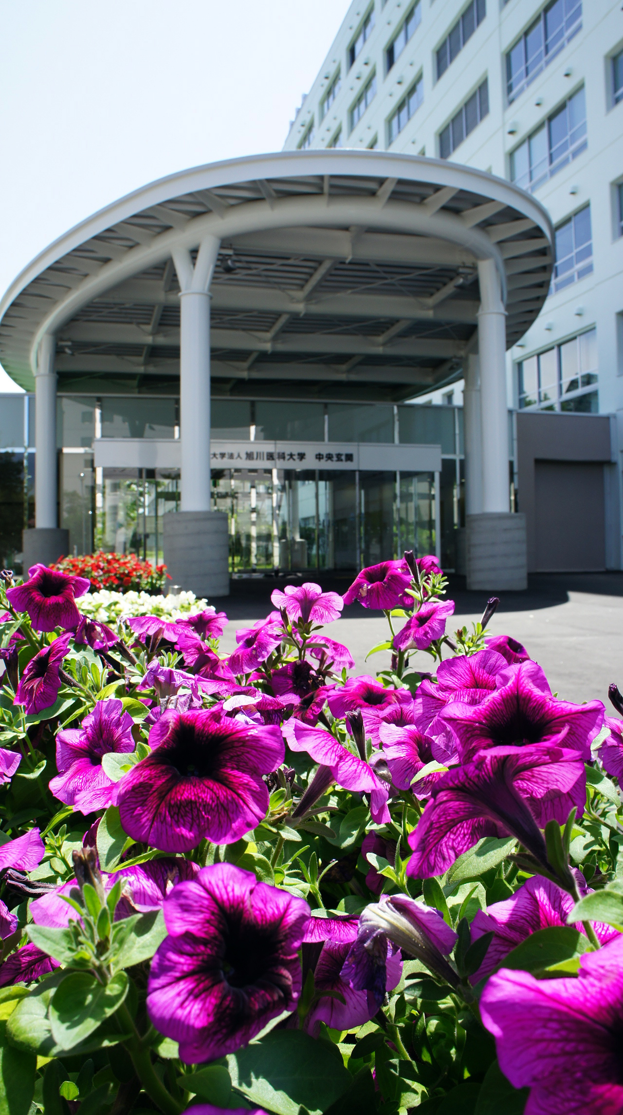 Asahikawa Medical University