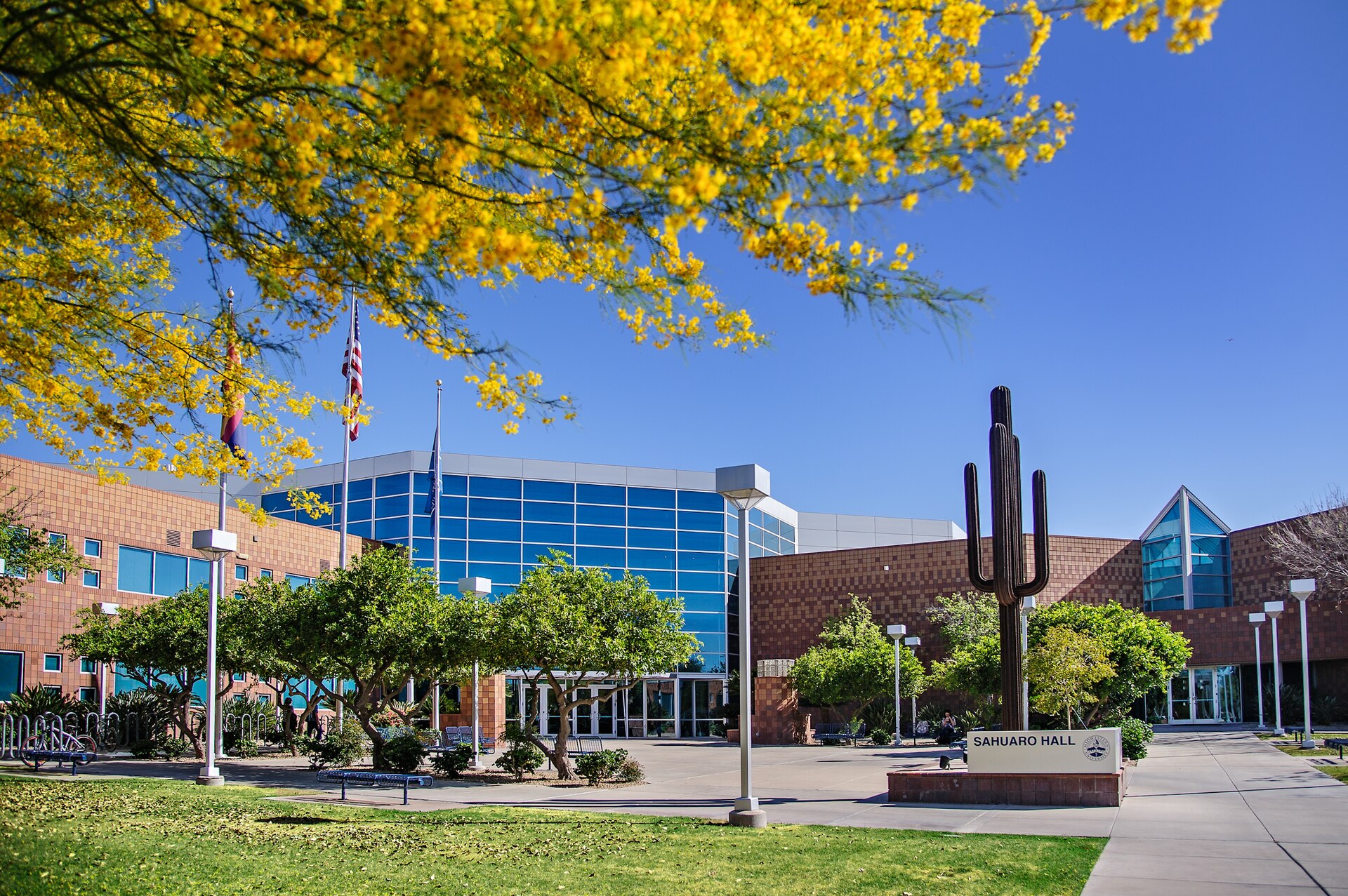 Midwestern University