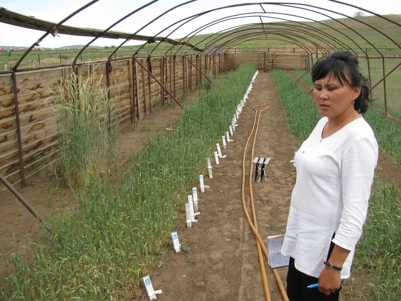 Mongolian University of Life Sciences
