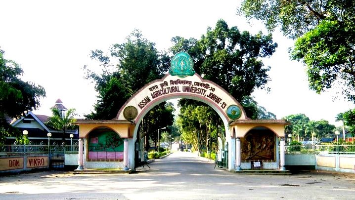 Assam Agricultural University