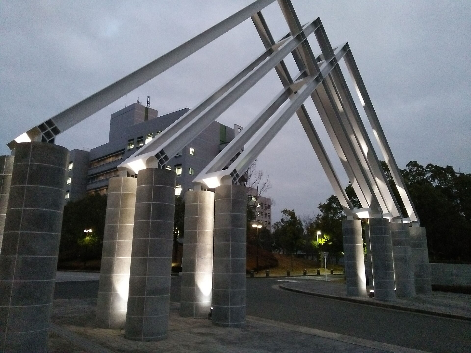 Nara Institute of Science and Technology