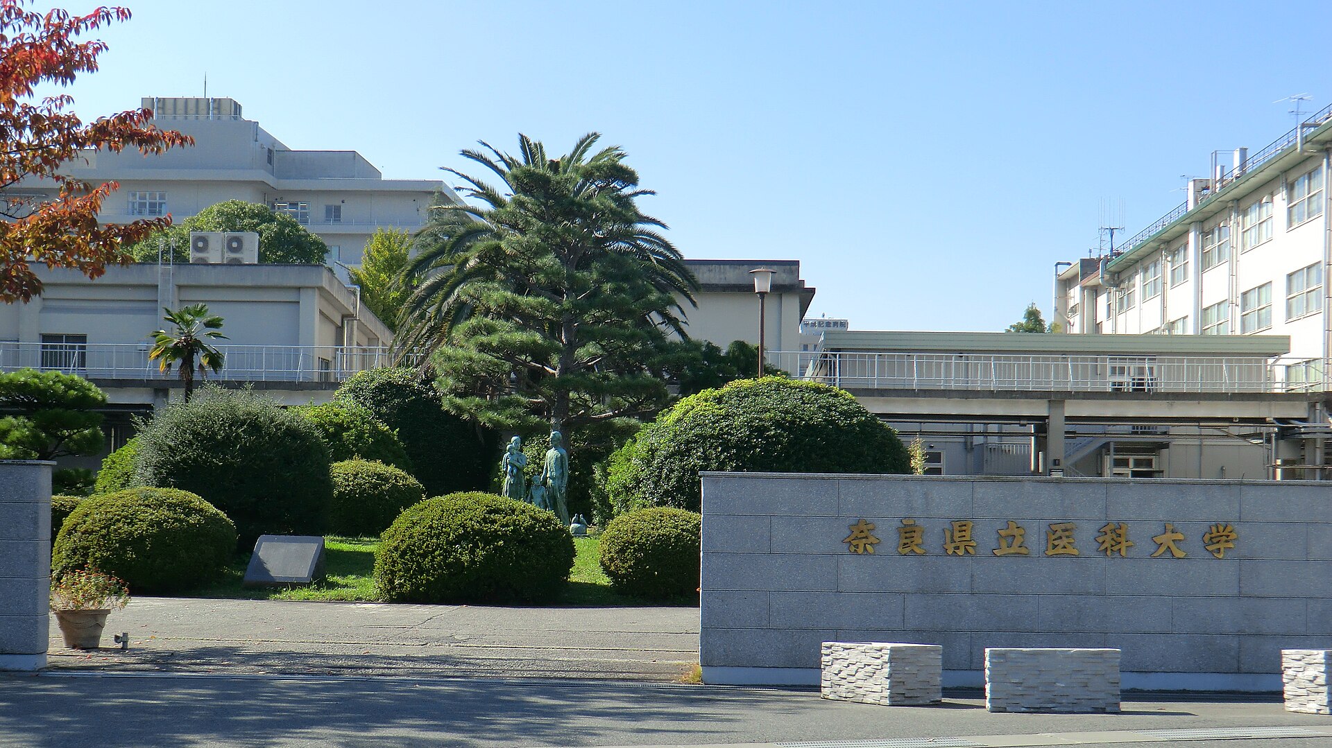 Nara Medical University