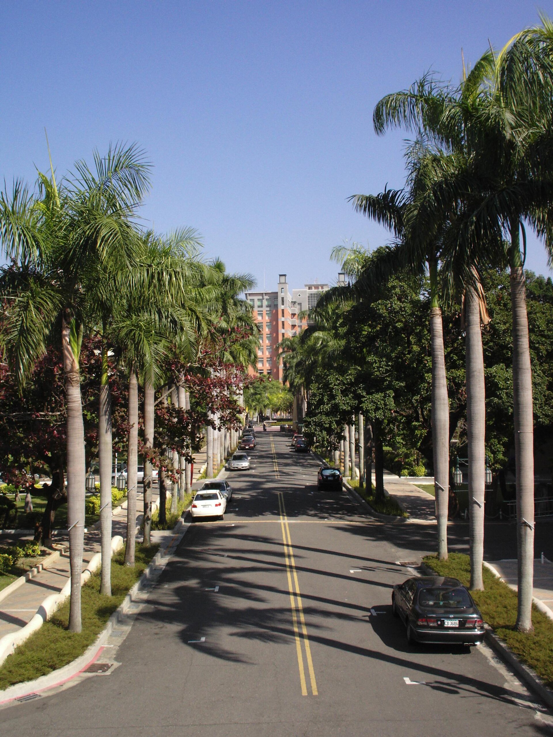 National Formosa University