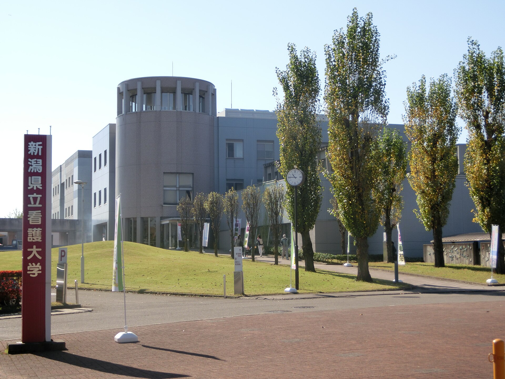 Niigata College of Nursing