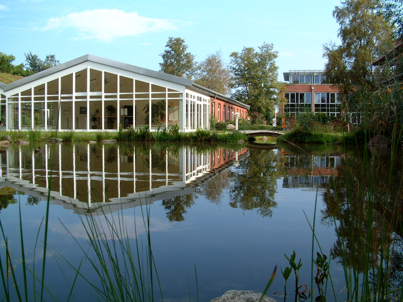 Nordakademie Hochschule der Wirtschaft