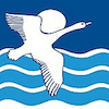 Aurora College