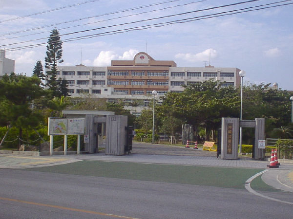 Okinawa International University