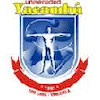 Ayatollah Borujerdi University
