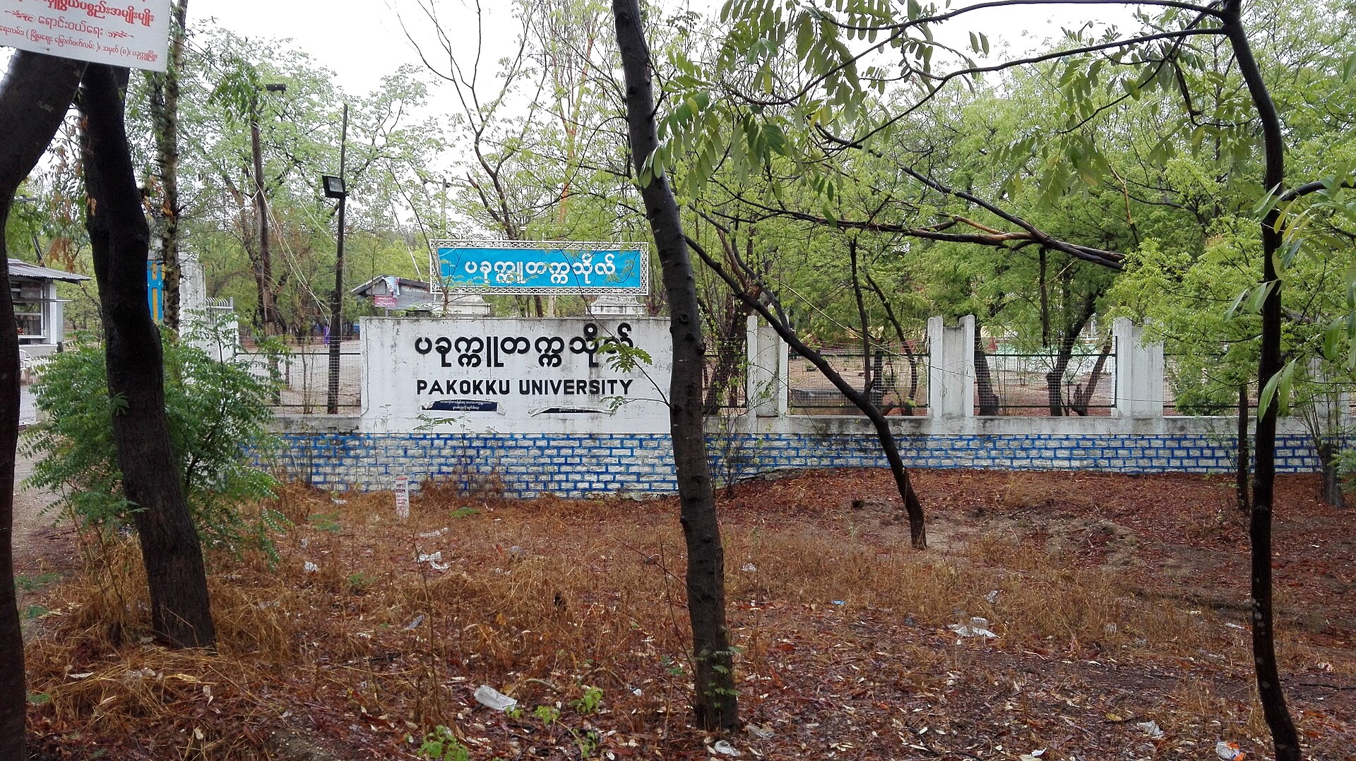Pakokku University